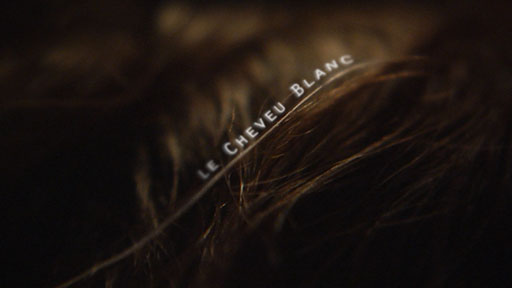 Cheveu blanc