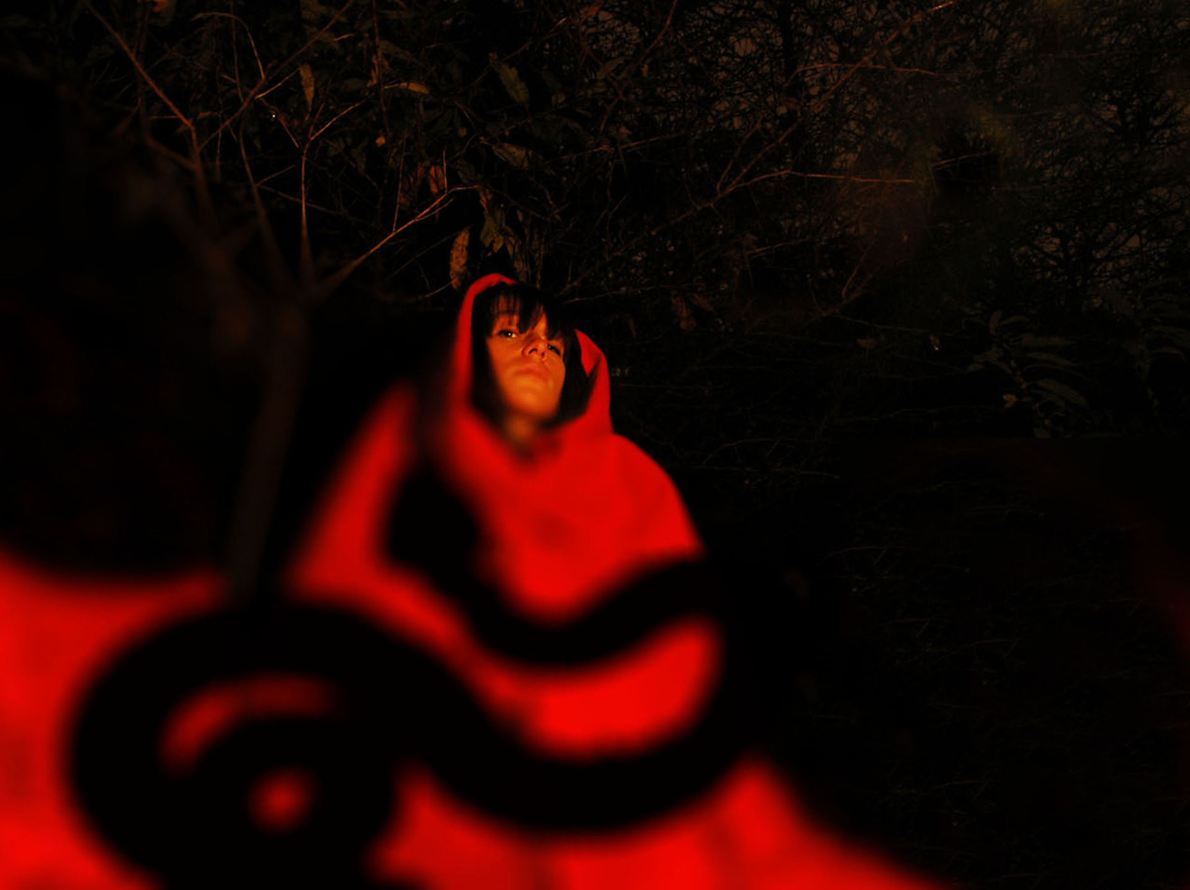 From One Dream to Another