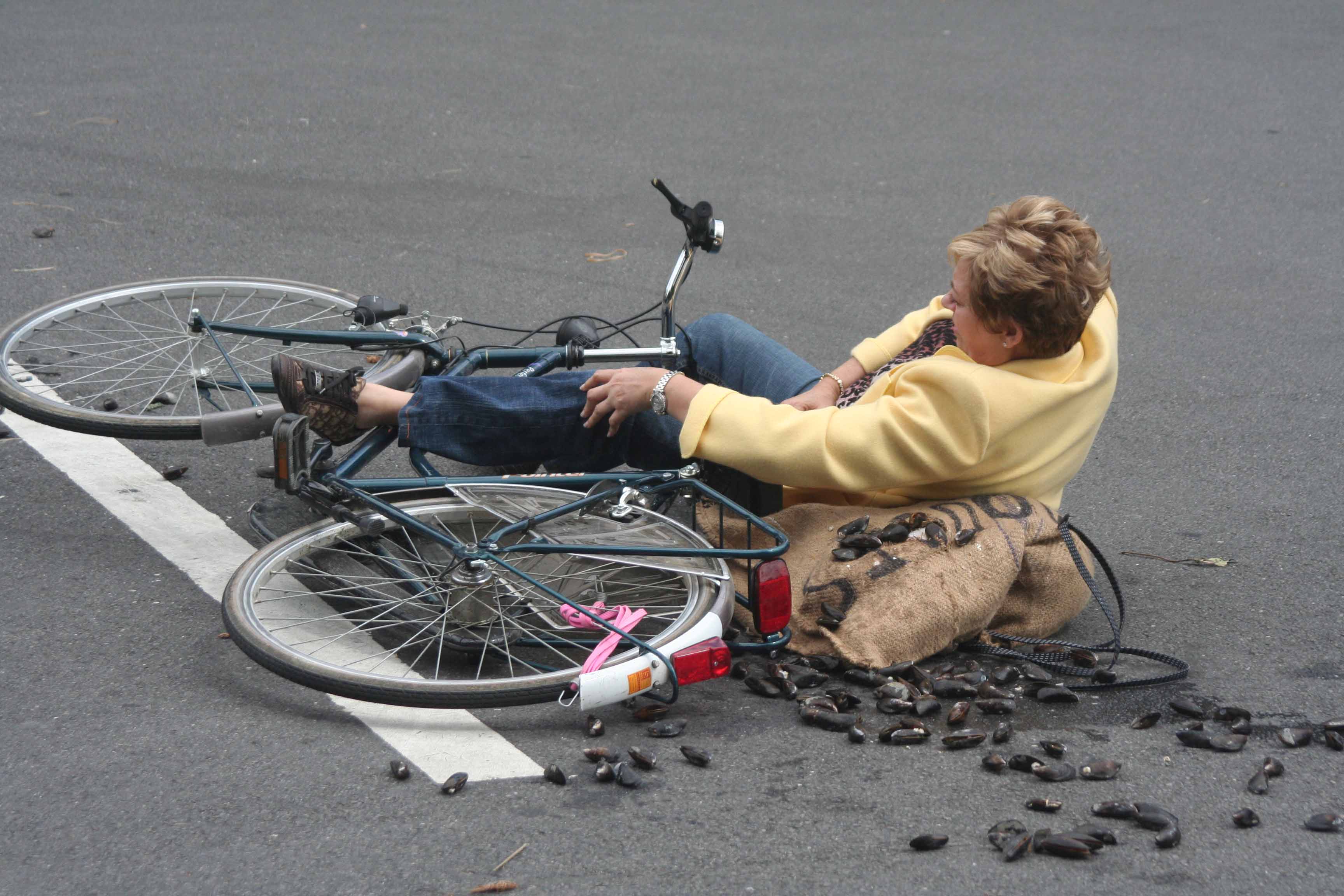 Vacances de l'élastique