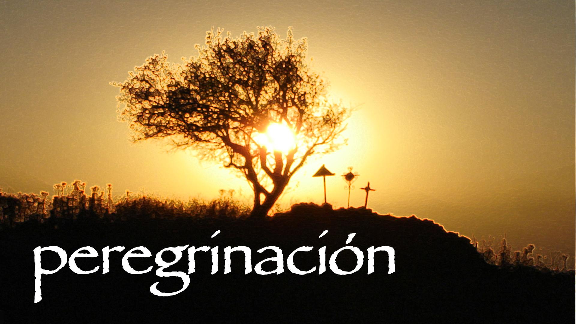 Peregrinación