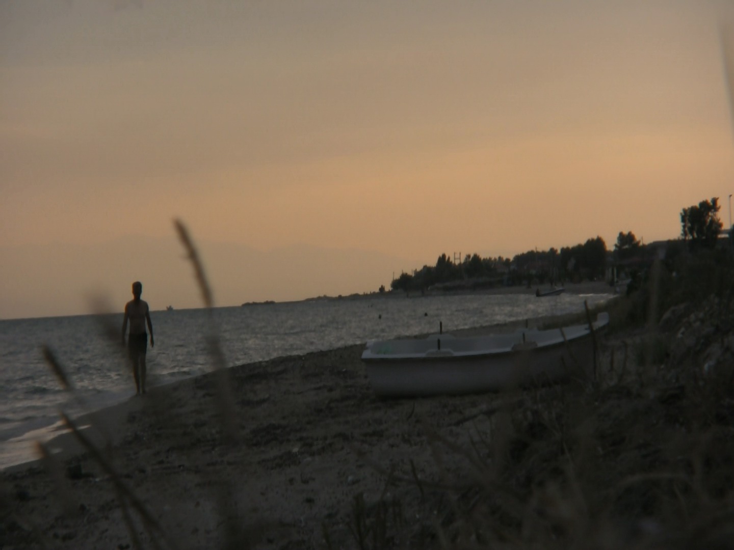 Summer Recollections