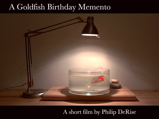 A Goldfish Birthday Memento