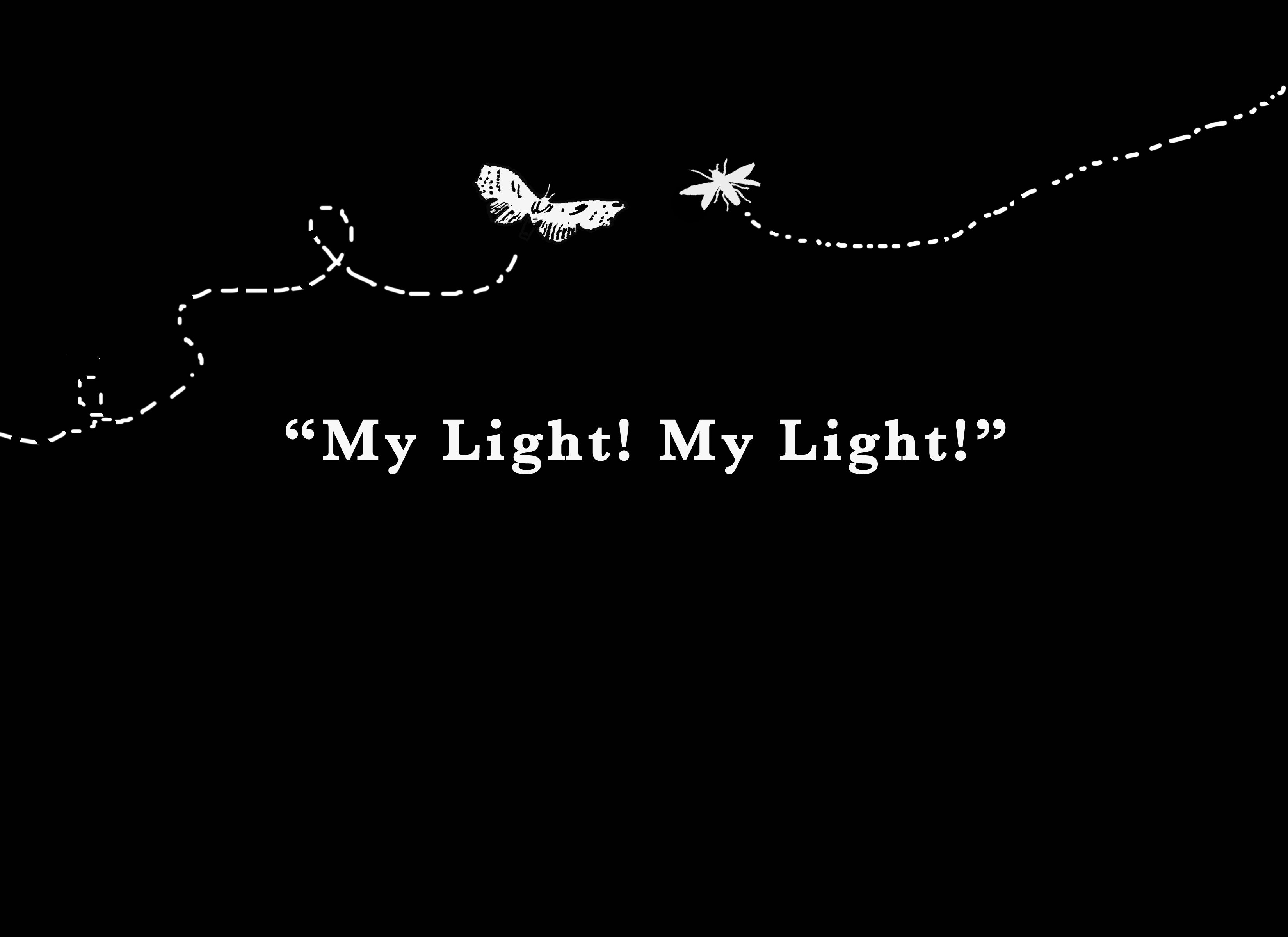 Moth and the Firefly