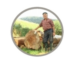 De l'arbre à la fontaine