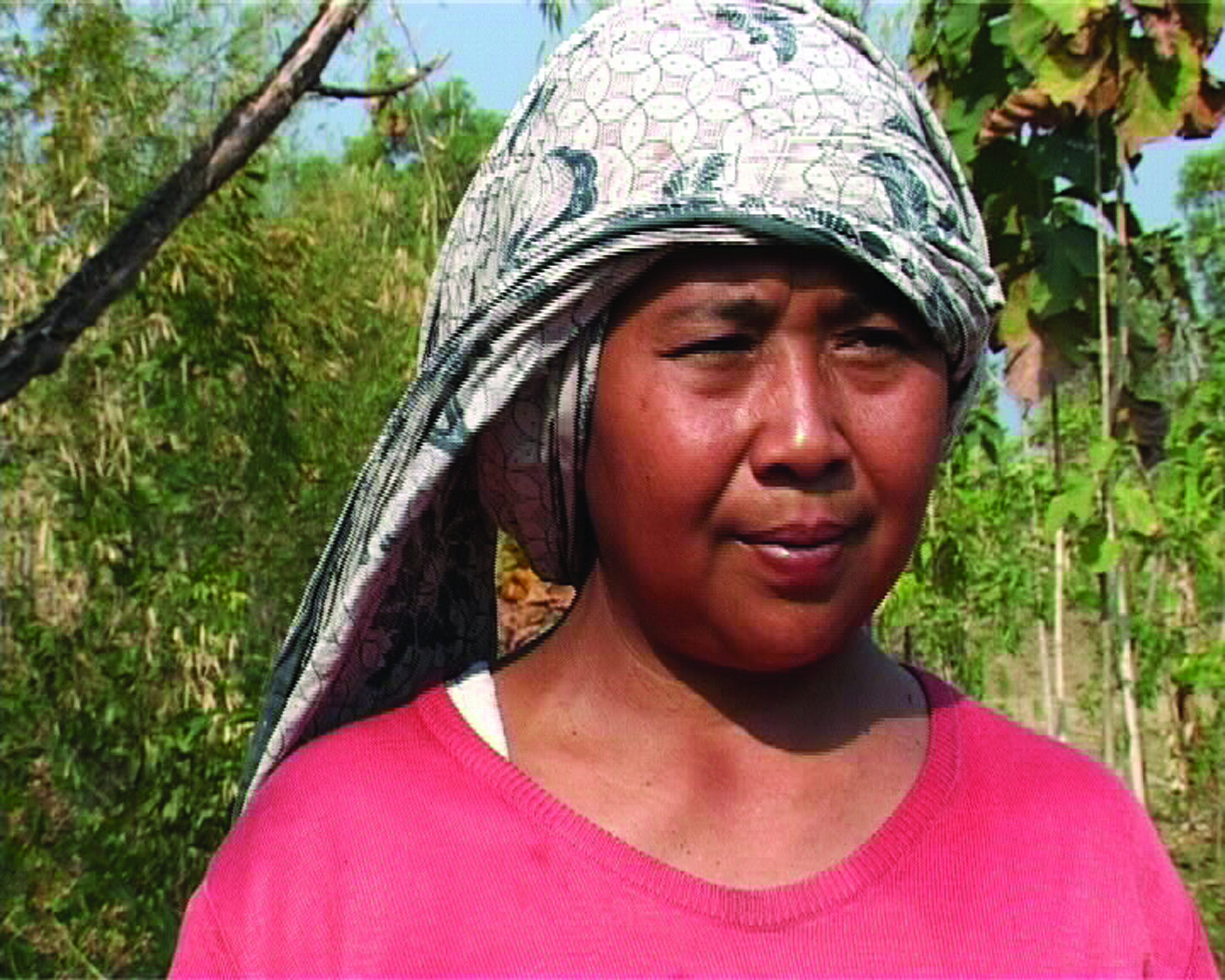 Punggung Berkeringat di Tanah Yang Retak