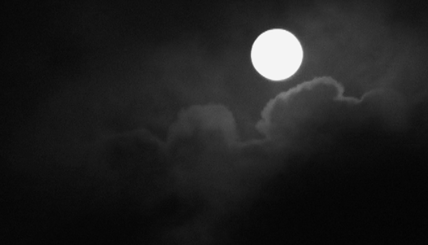 I Can See Everything