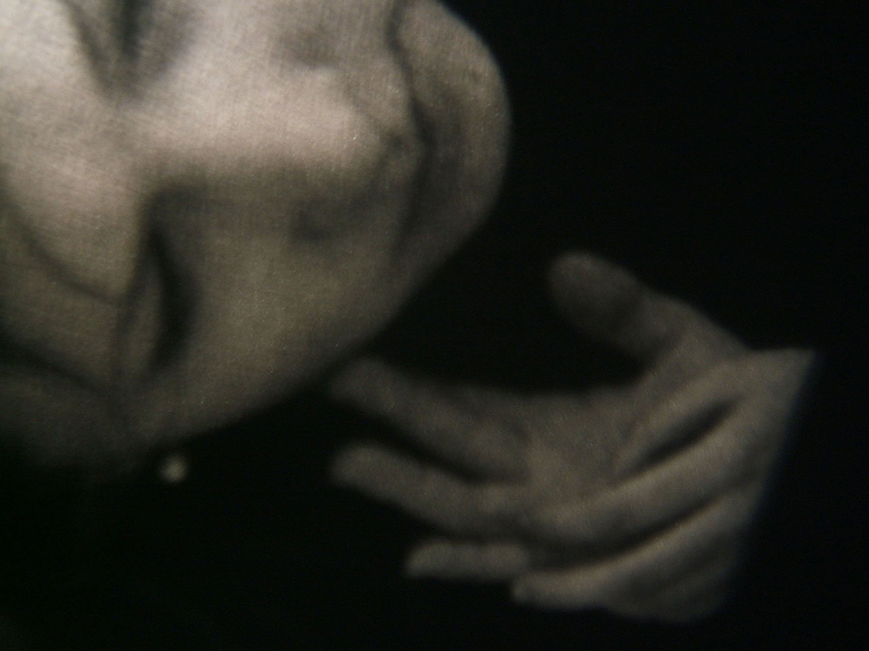 Odin's Shield Maiden