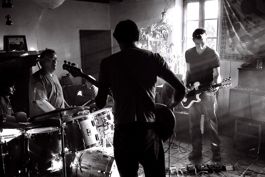 Chiens aussi ont les yeux verts