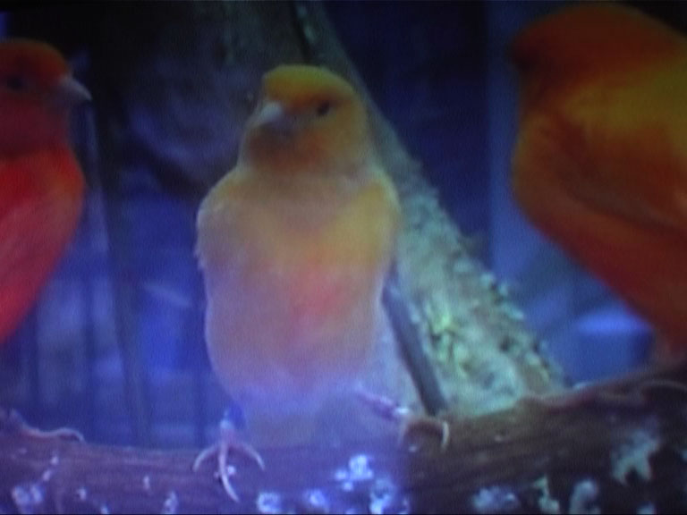 Je n'connais personne, je n'sais pas où aller