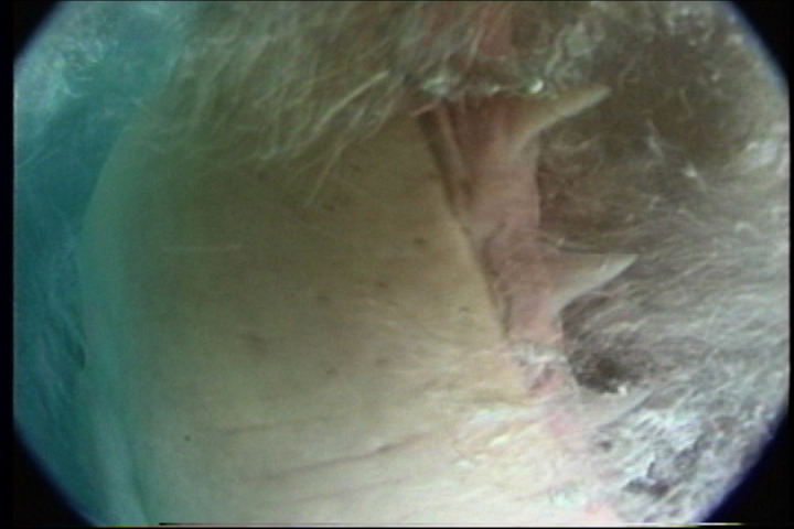 Man in The Grey Suit