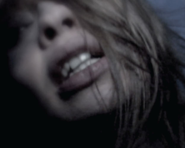 Vanessa Philippe Hirondelles