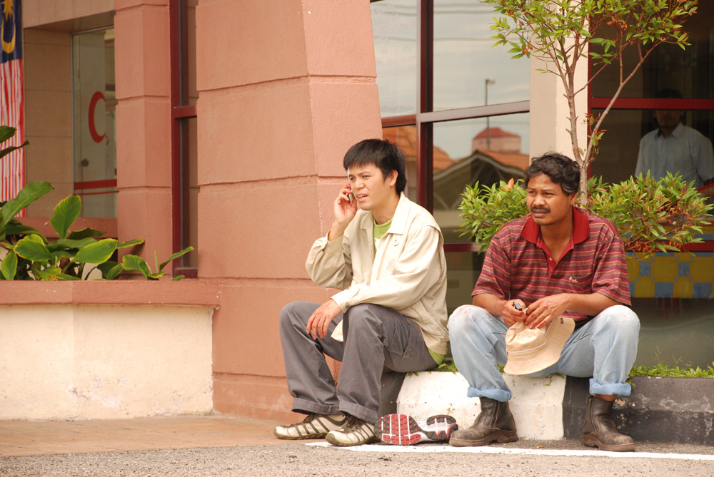 Chasing cats and cars