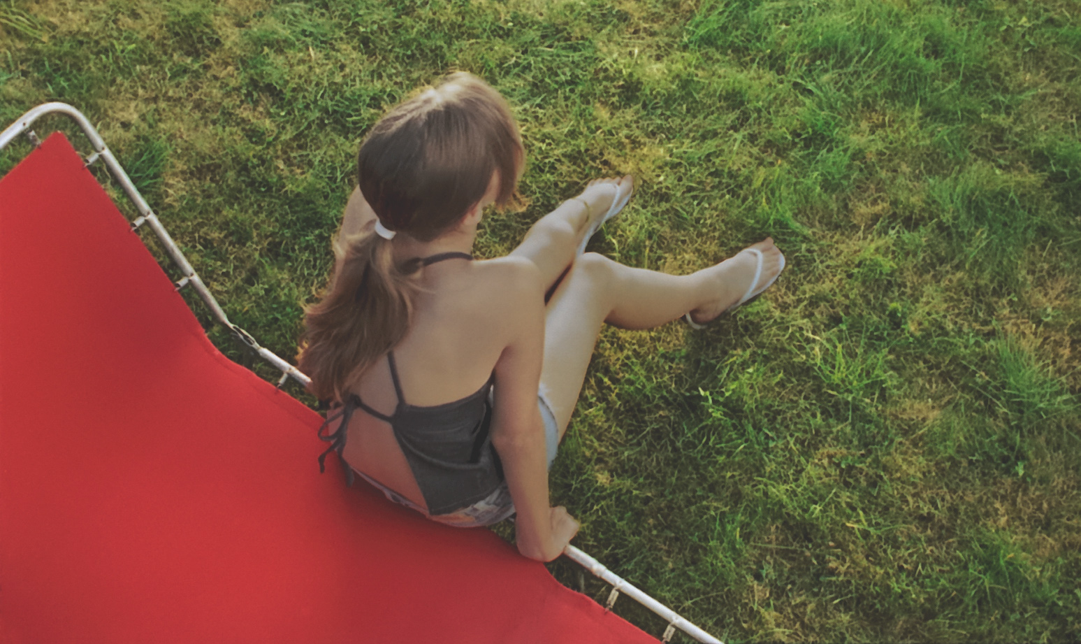 Une sauterelle dans le jardin