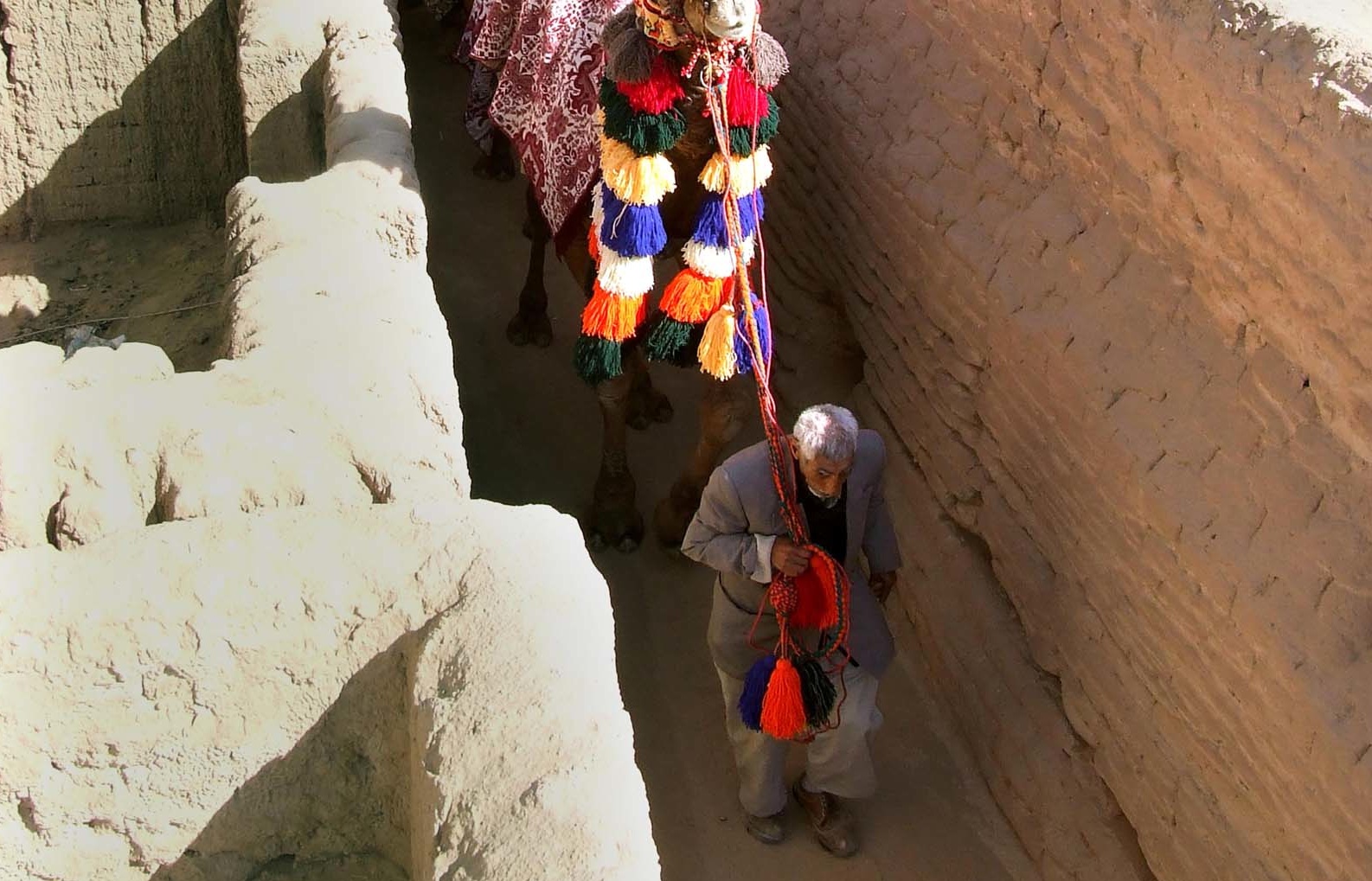 One Day After 10 Day