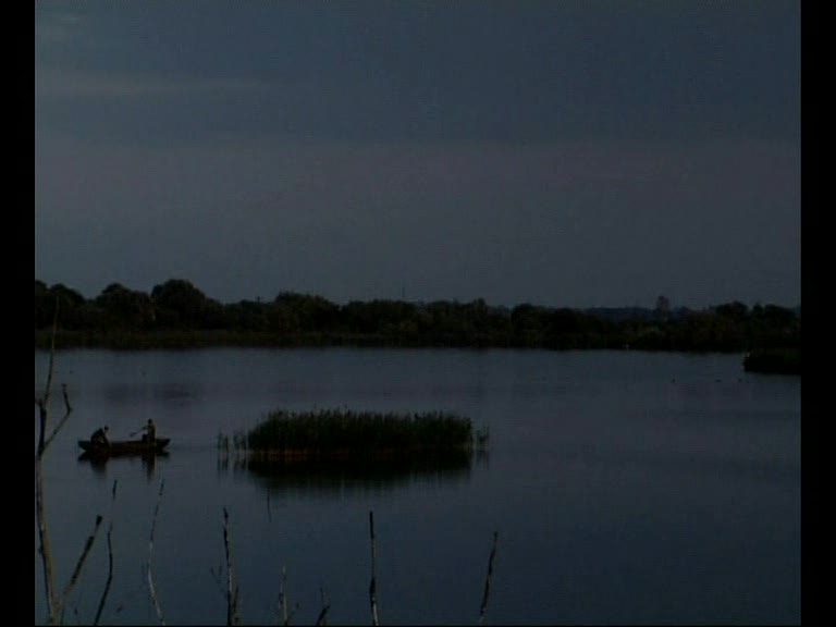 Kishalak...Nagyhalak...