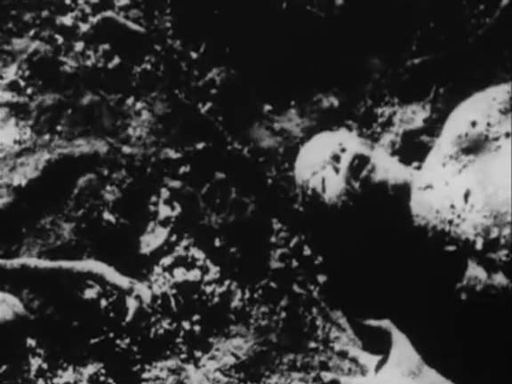 Din of the Celestial Birds