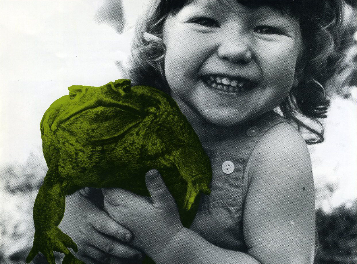 Cane Toads, an Unnatural History