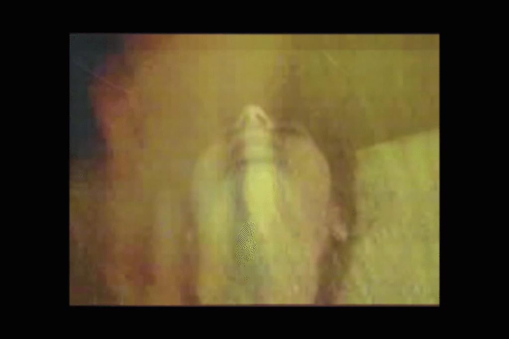 Restos de un Incendio