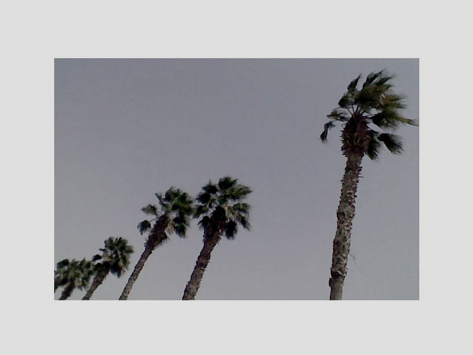 Surreal Random MMS Texts