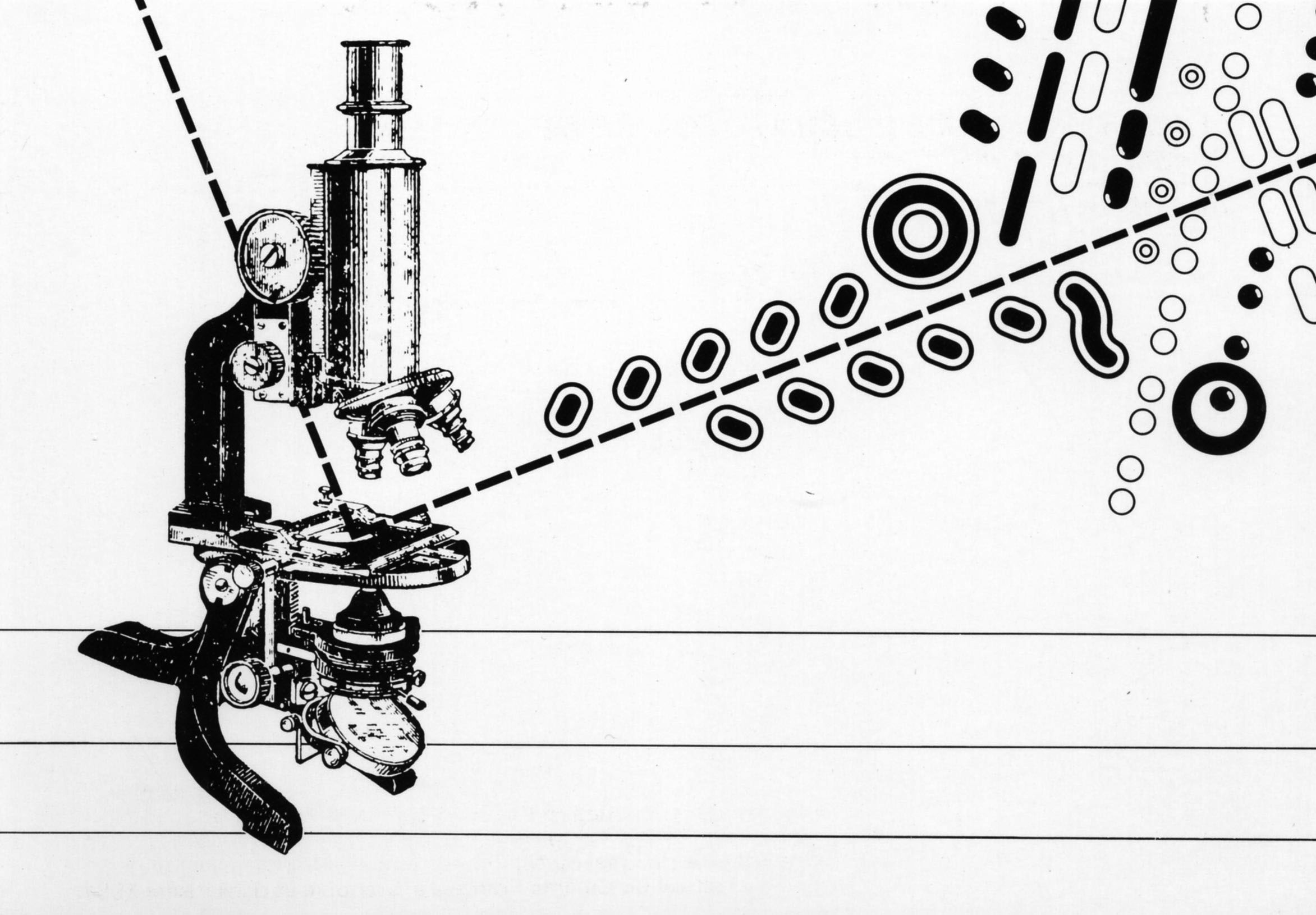 Observation de l'Hématozoaire de Laveran
