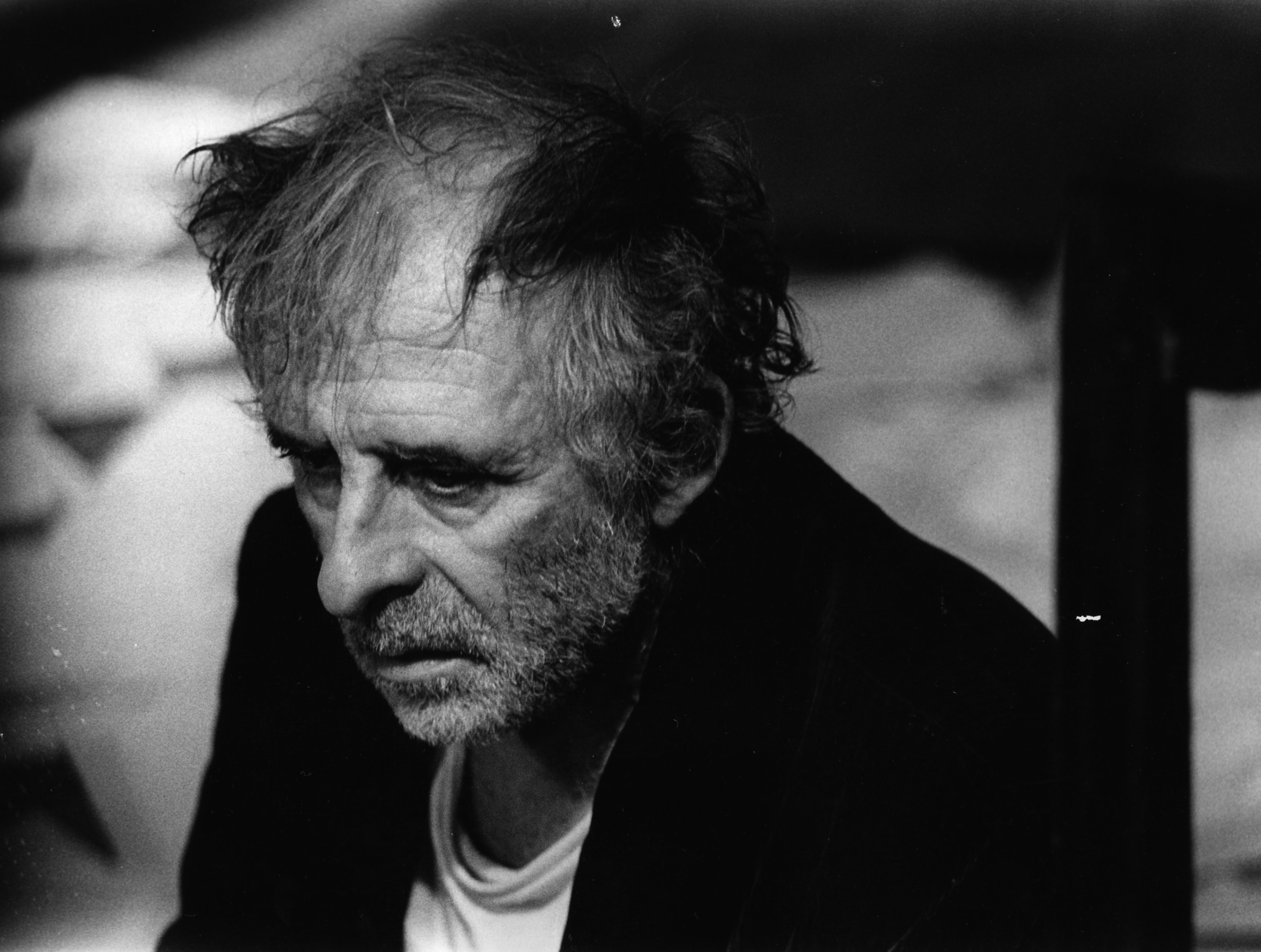 Rat noir d'Amérique