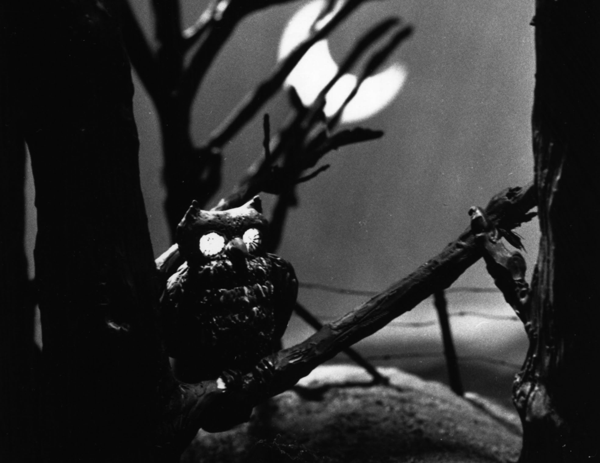 Cythère, l'apprentie sorcière