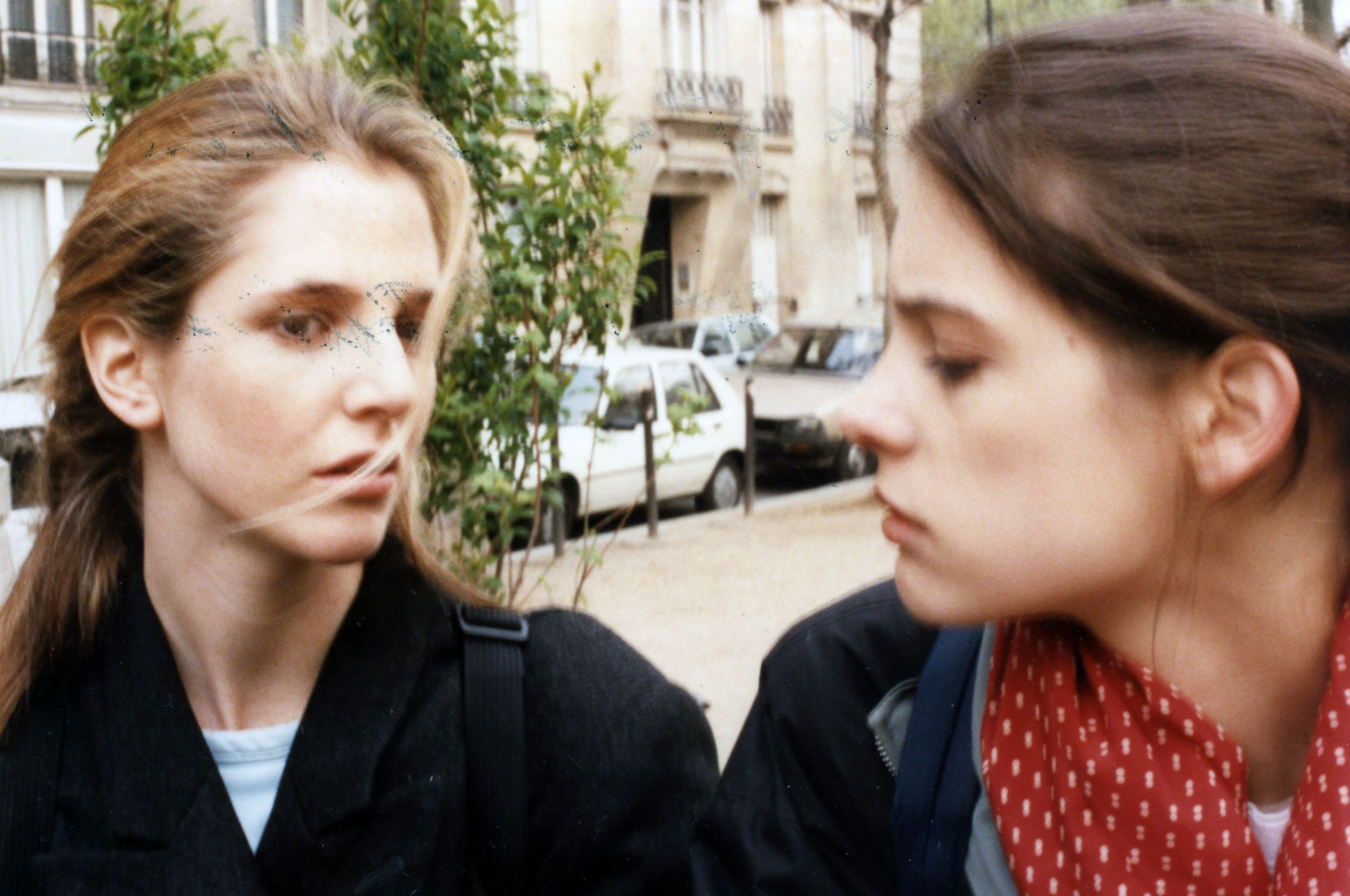 Des filles et des chiens