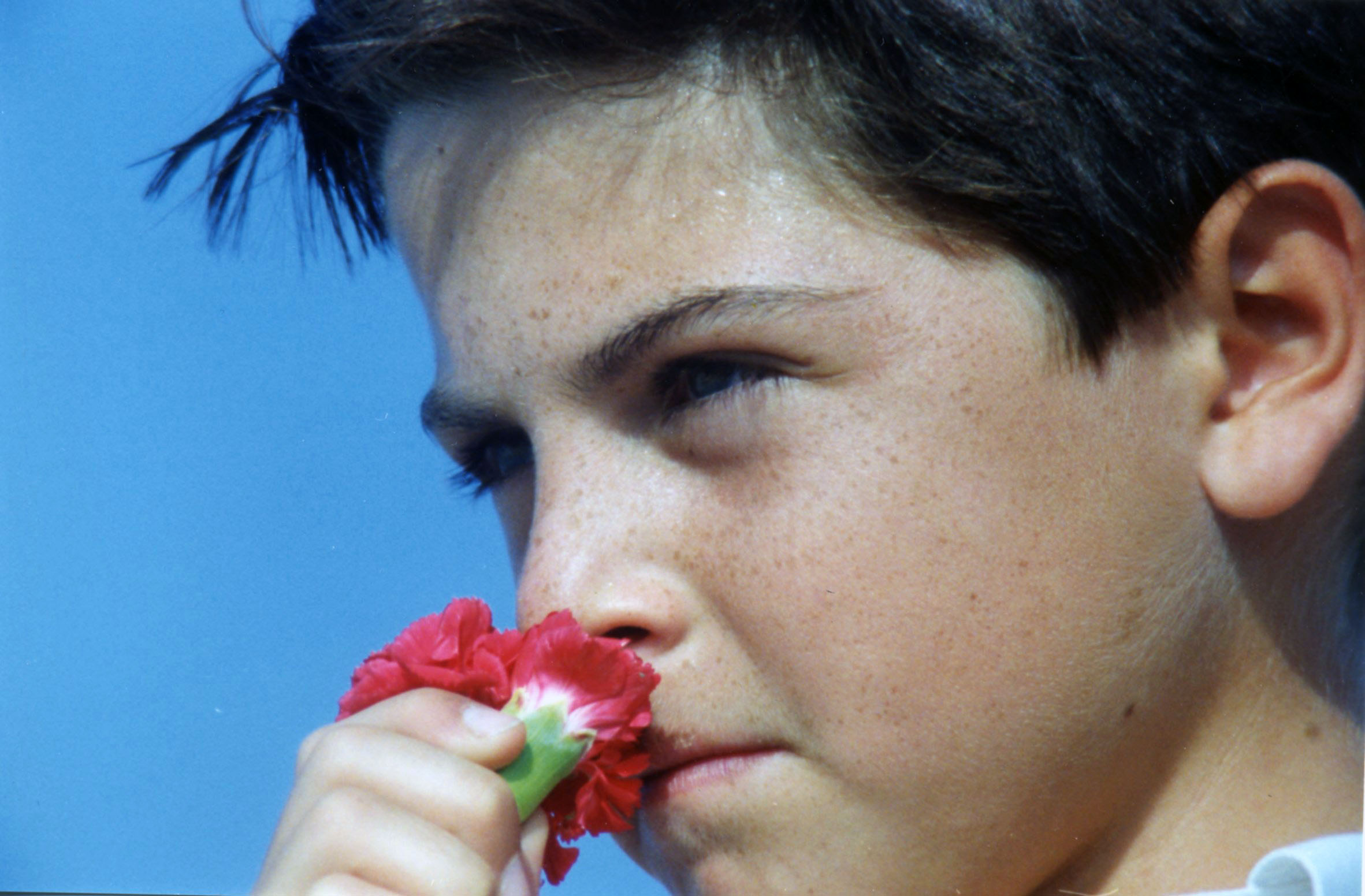 Fleur que tu m'avais jetée