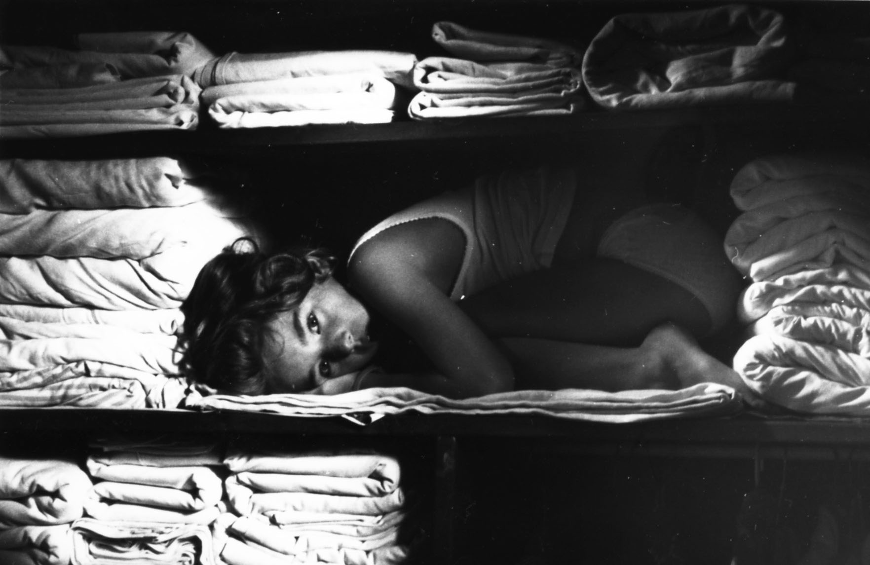 Météore et le dinosaure