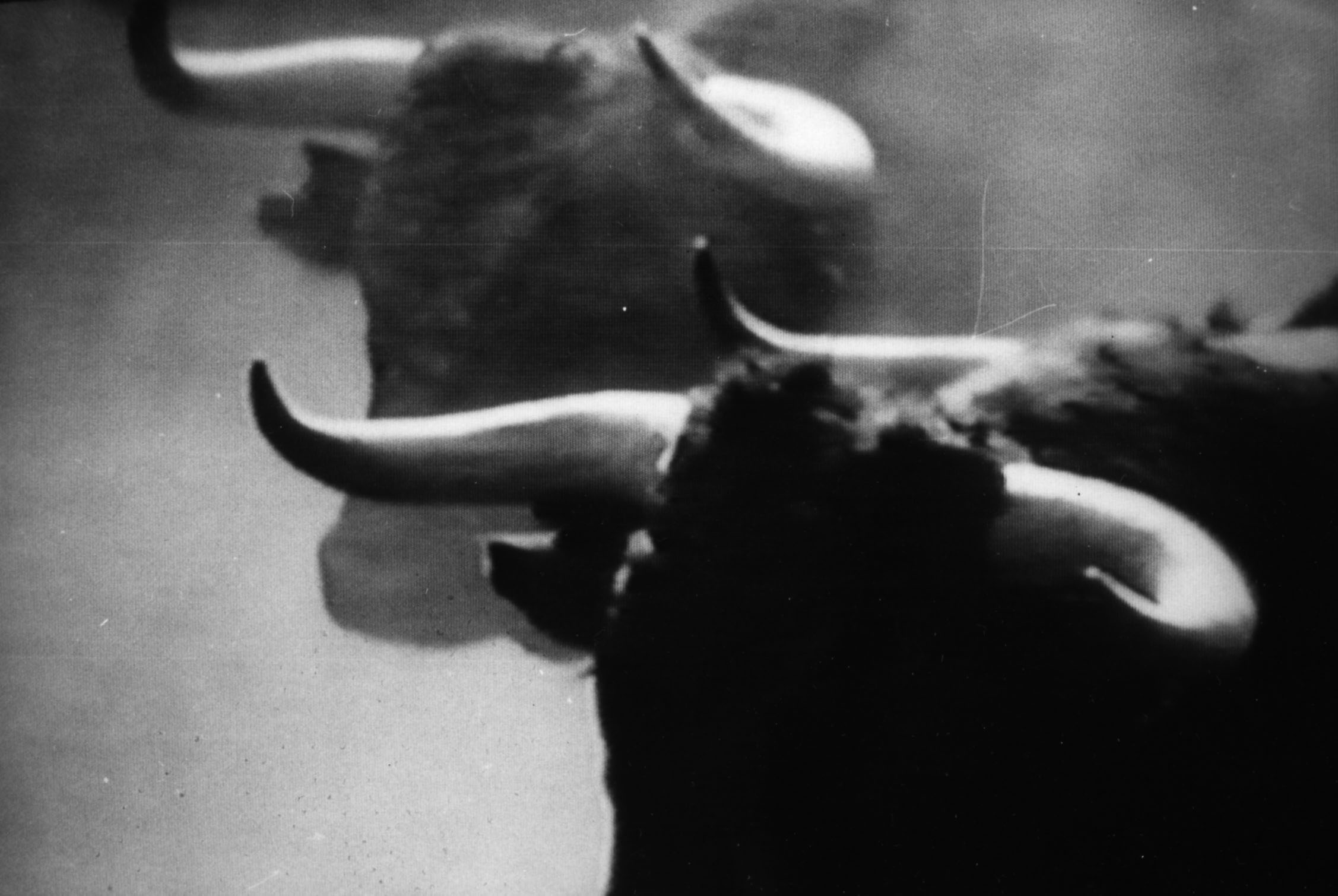 Paquito Leal entre ...sol y sombra