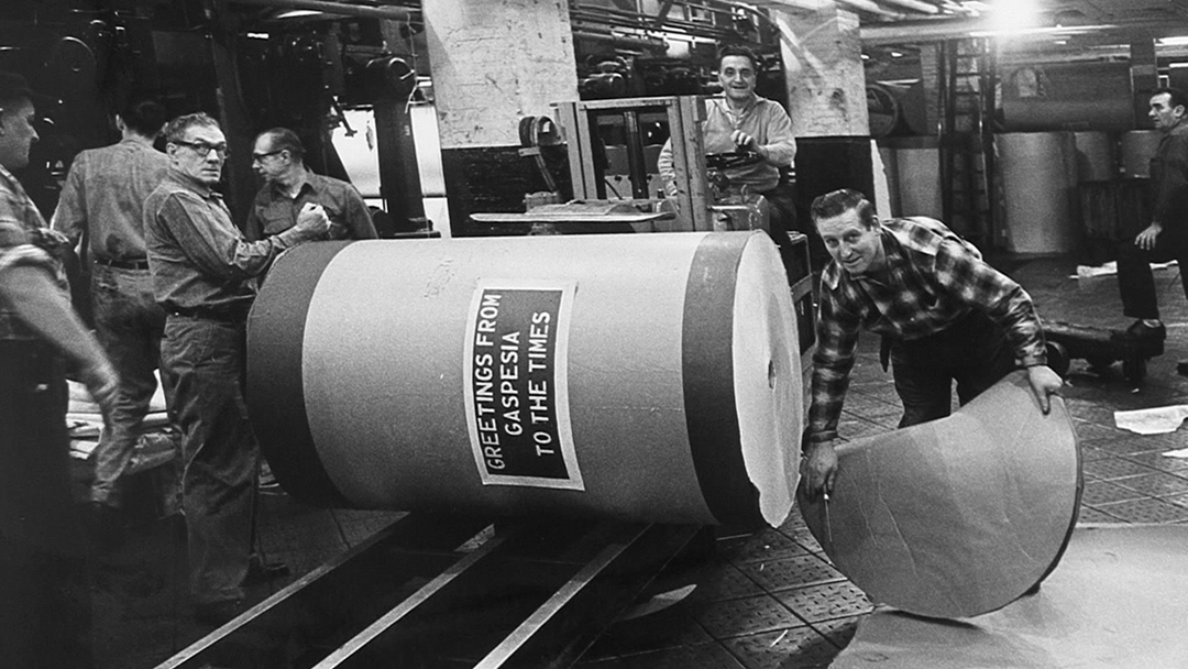 Greetings from Gaspesia