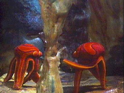 Grotoceans