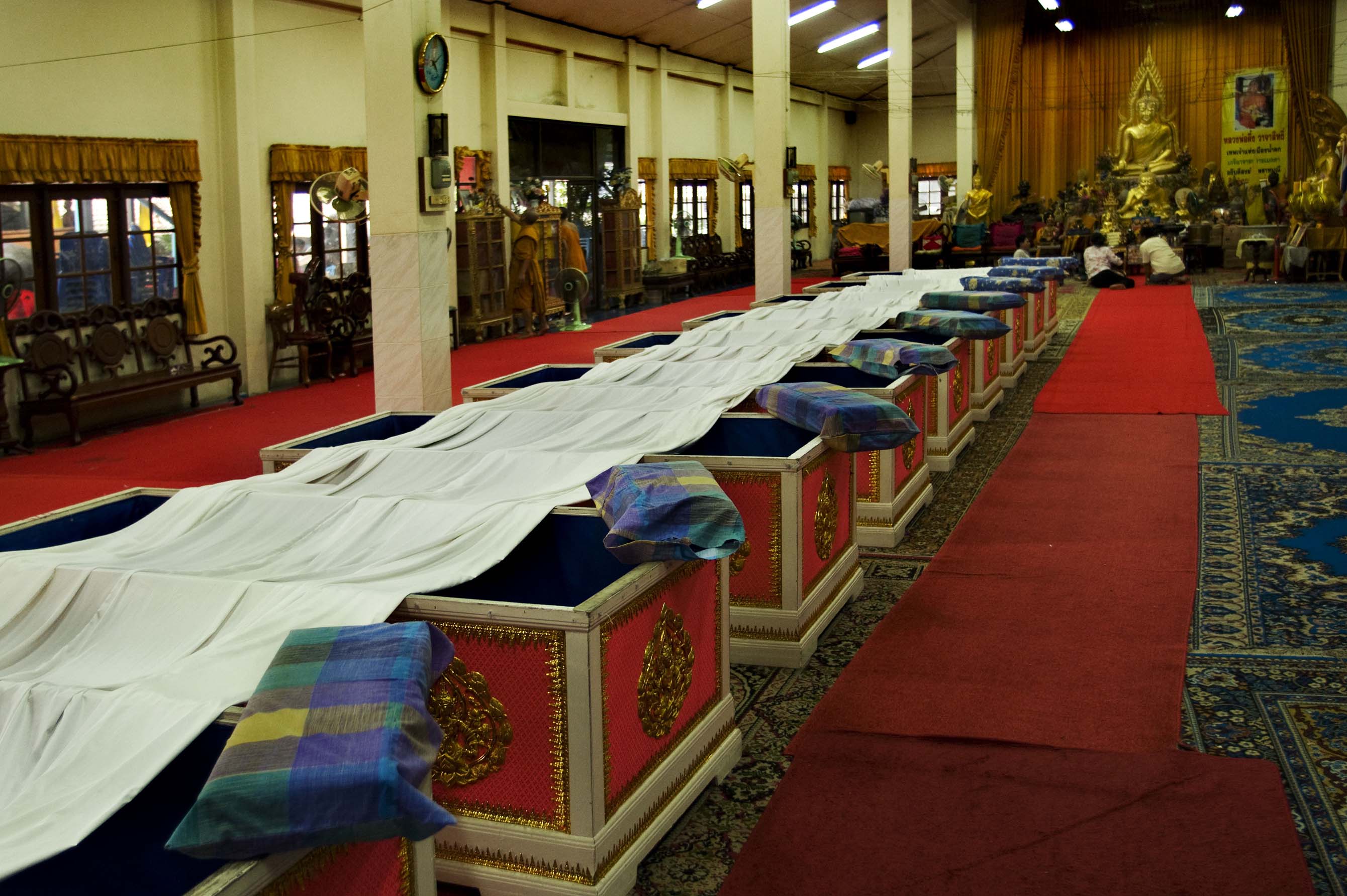 Ataúdes Rosas (Hilkutxa Arrosak)