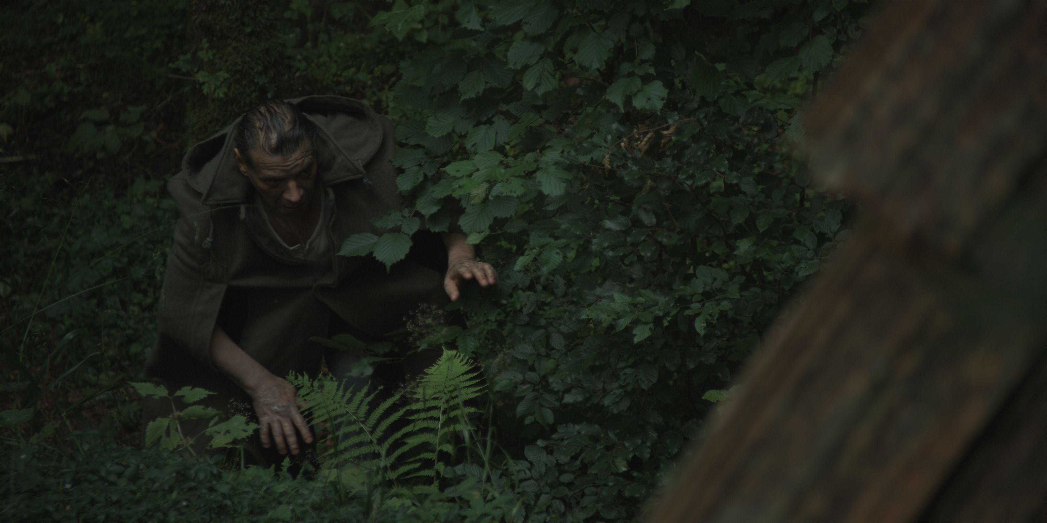 Who's Afraid of the Water Sprite?