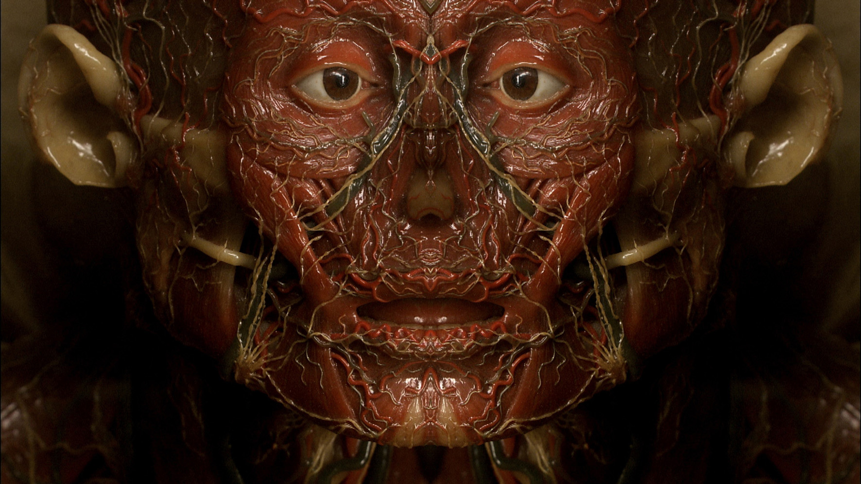 Petite anatomie de l'image