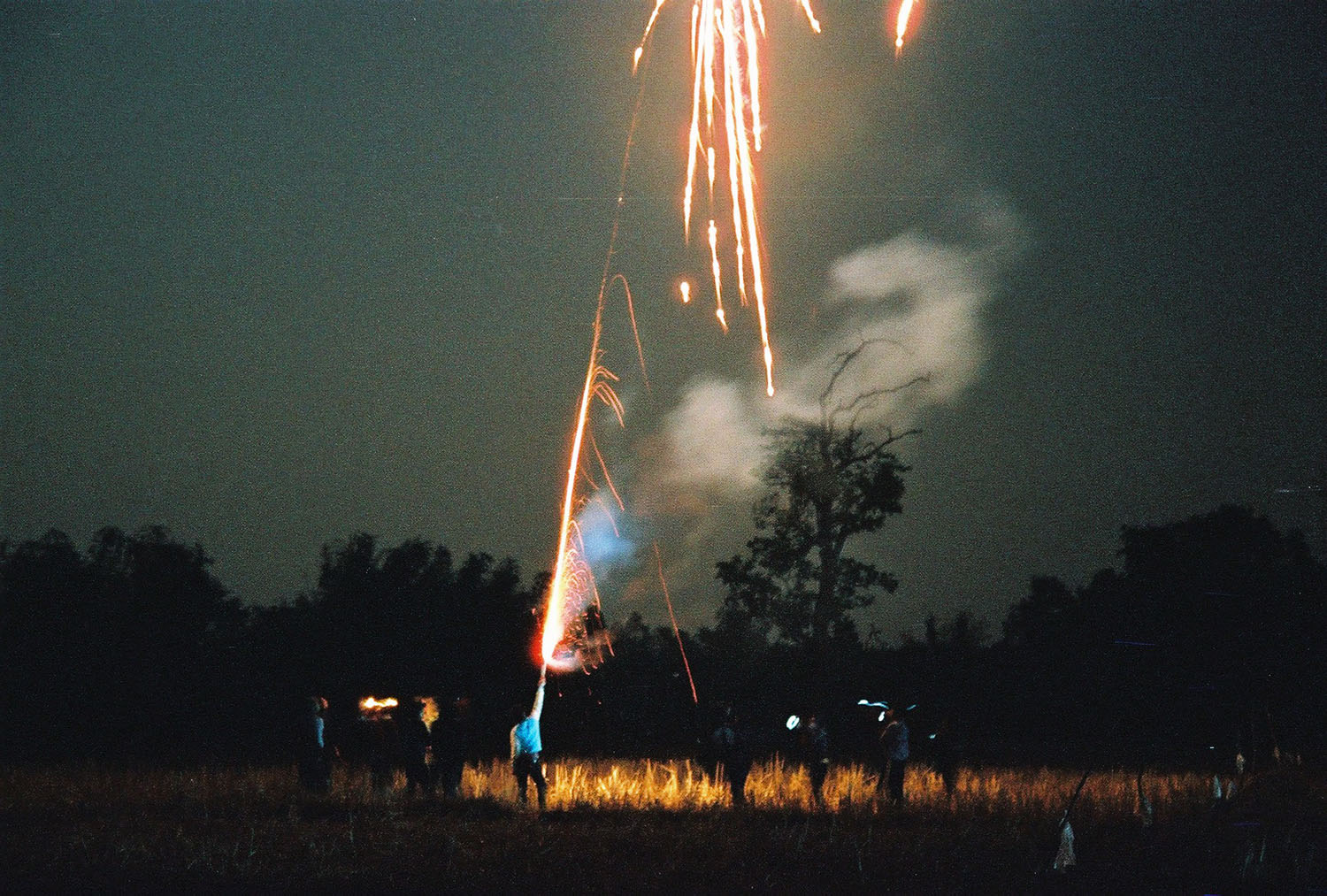 My Mother and Her Portrait