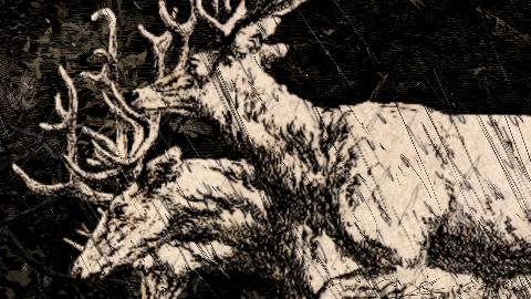 Je criais contre la vie. Ou pour elle