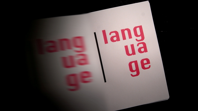 Polish Language
