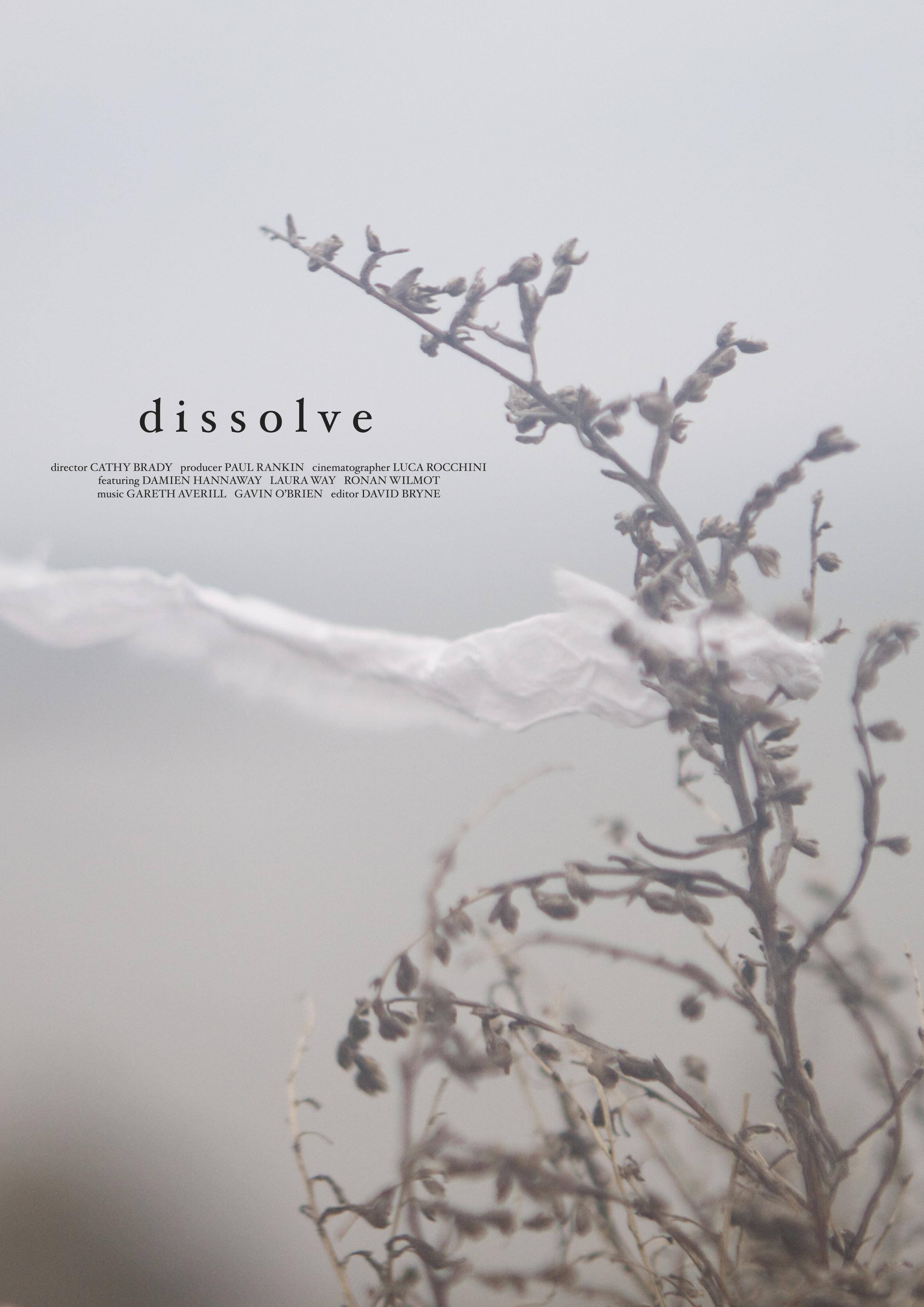 Dissolve