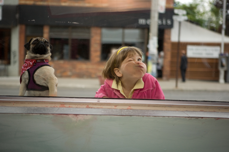 Curiosity of Penny Parker