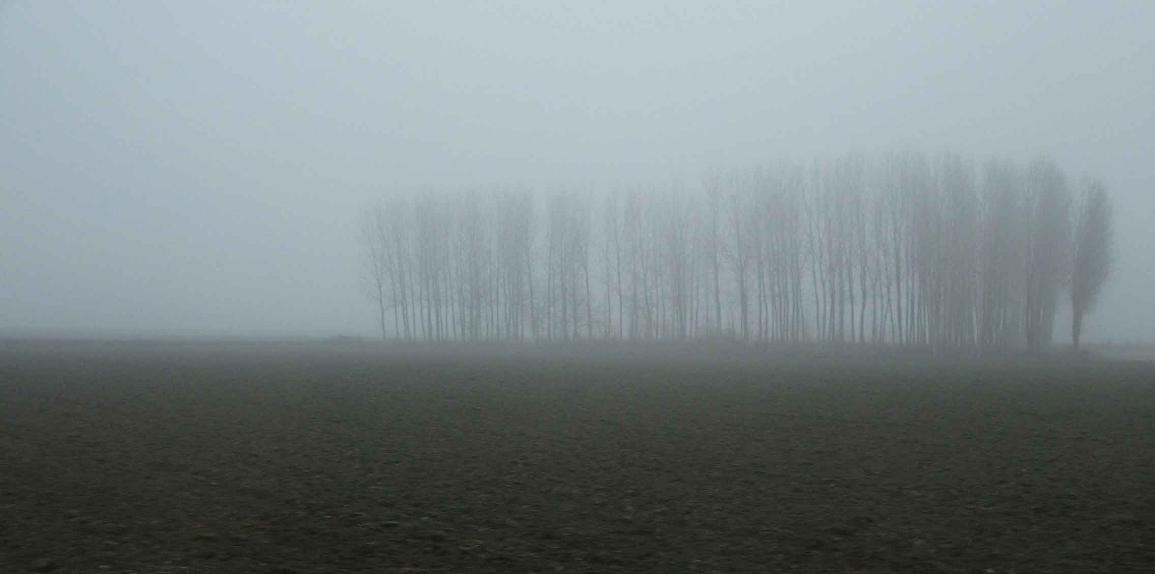 Nebbia