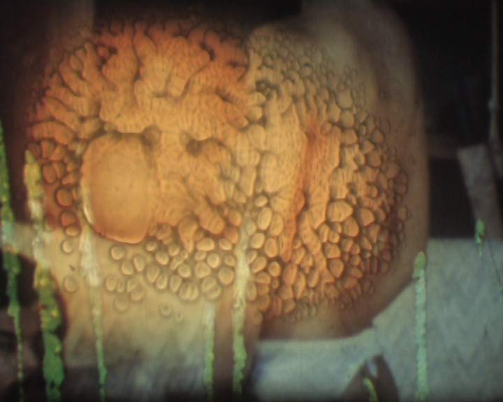 Félálom - Light-Sleep