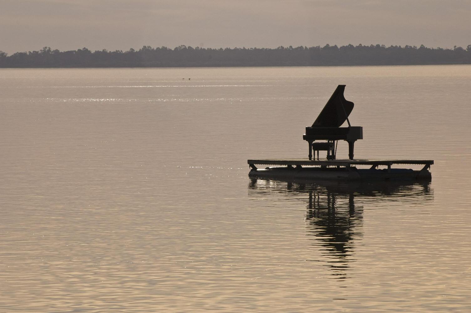 What are you looking for?