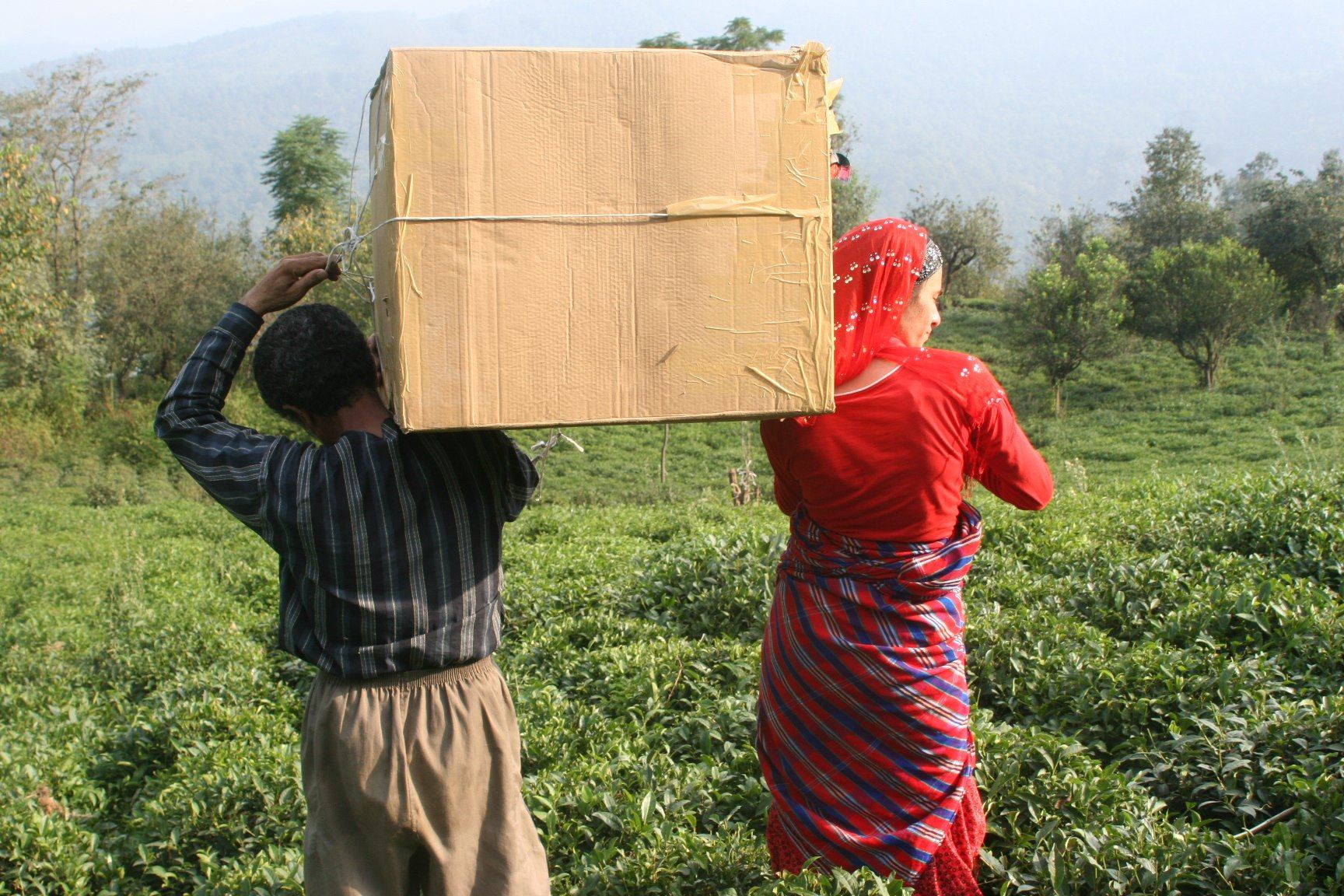 Members of the Resistance