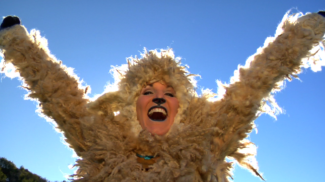 Sheep and the Ranch Hand