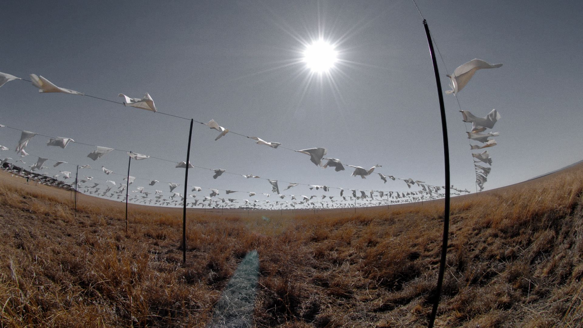 3SAI: A Rite of Passage