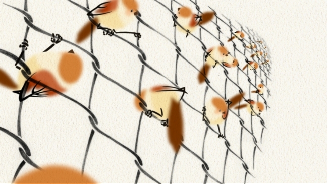 Newly Coming Seasons