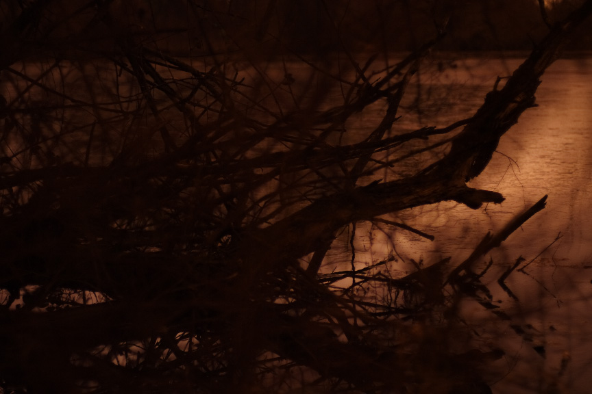 Oslanjanje na srebrnu vrbu