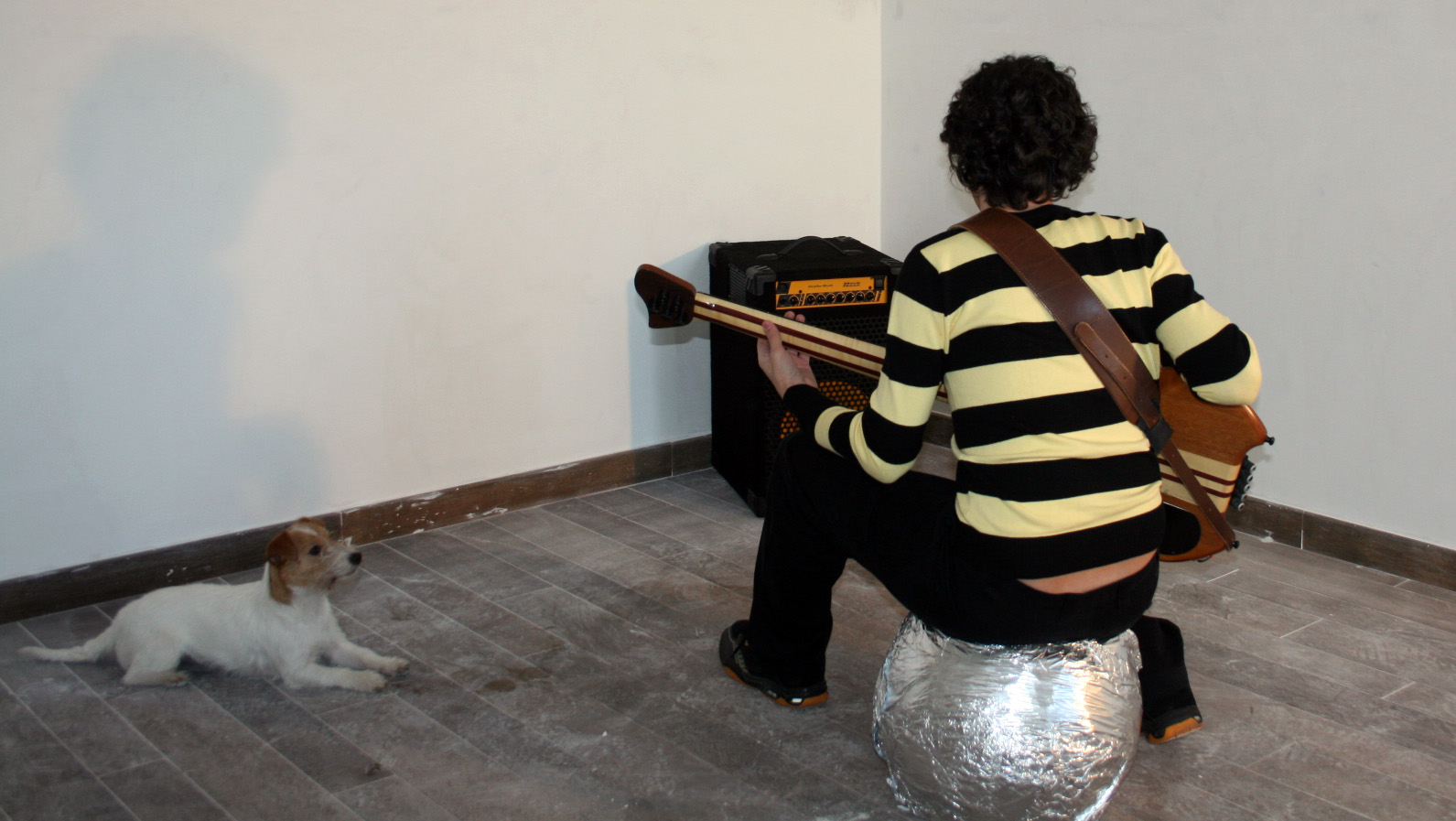 3001 : A Bass Odyssey