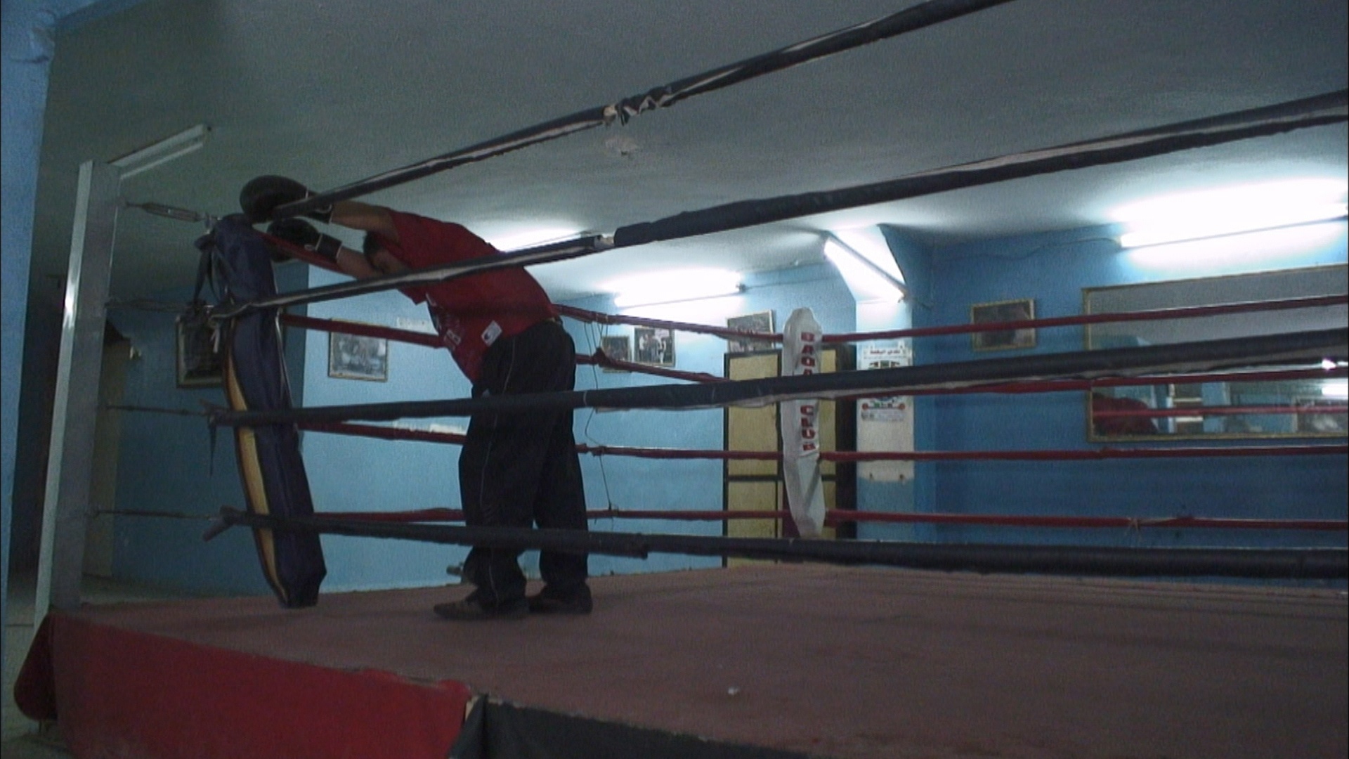 Death of a Boxer